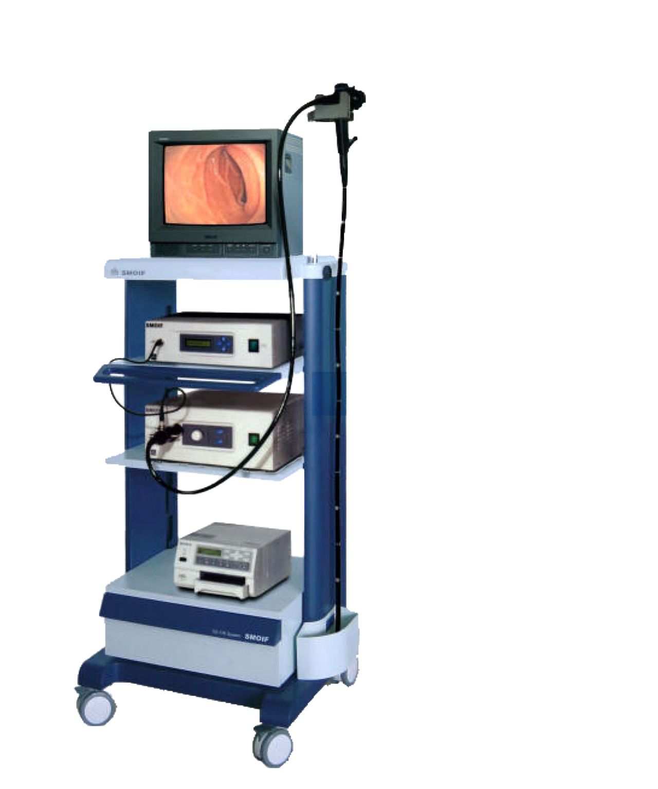Prostate Therapy Apparatus